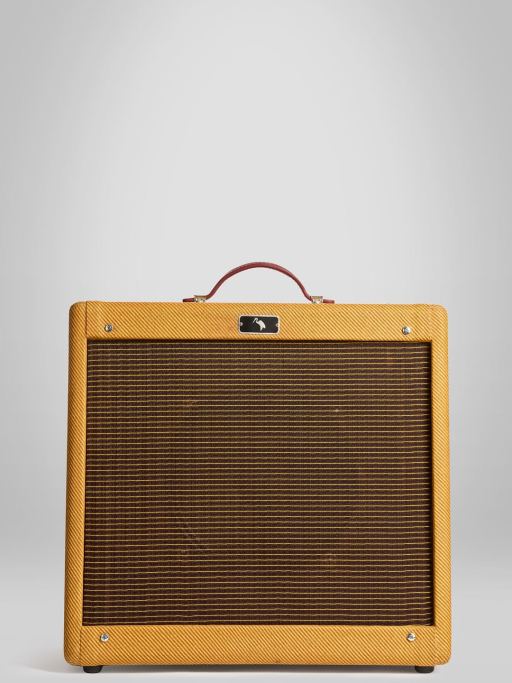 GT AMPS Caniche