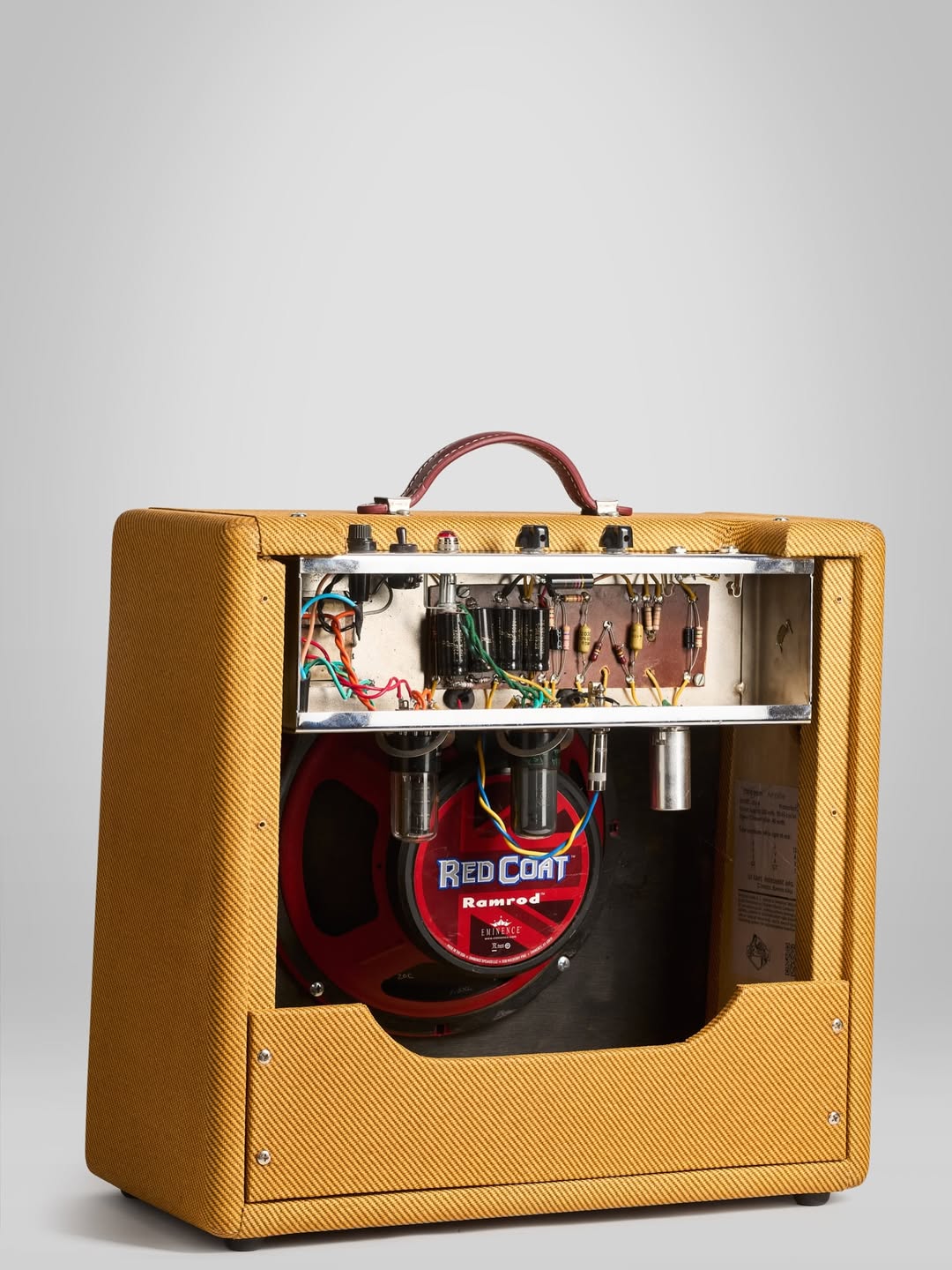 GT AMPS Caniche
