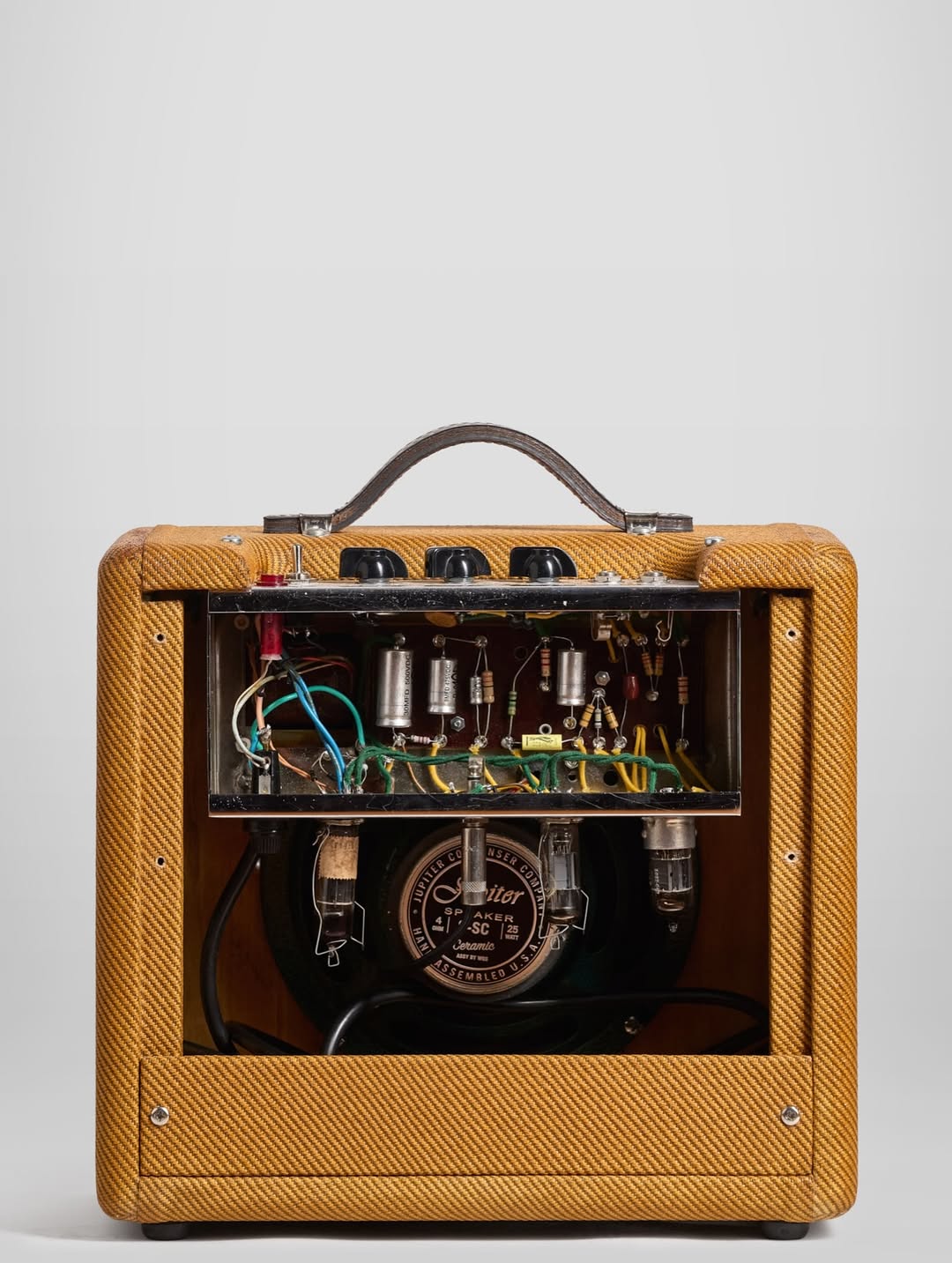 GT AMPS Caniche