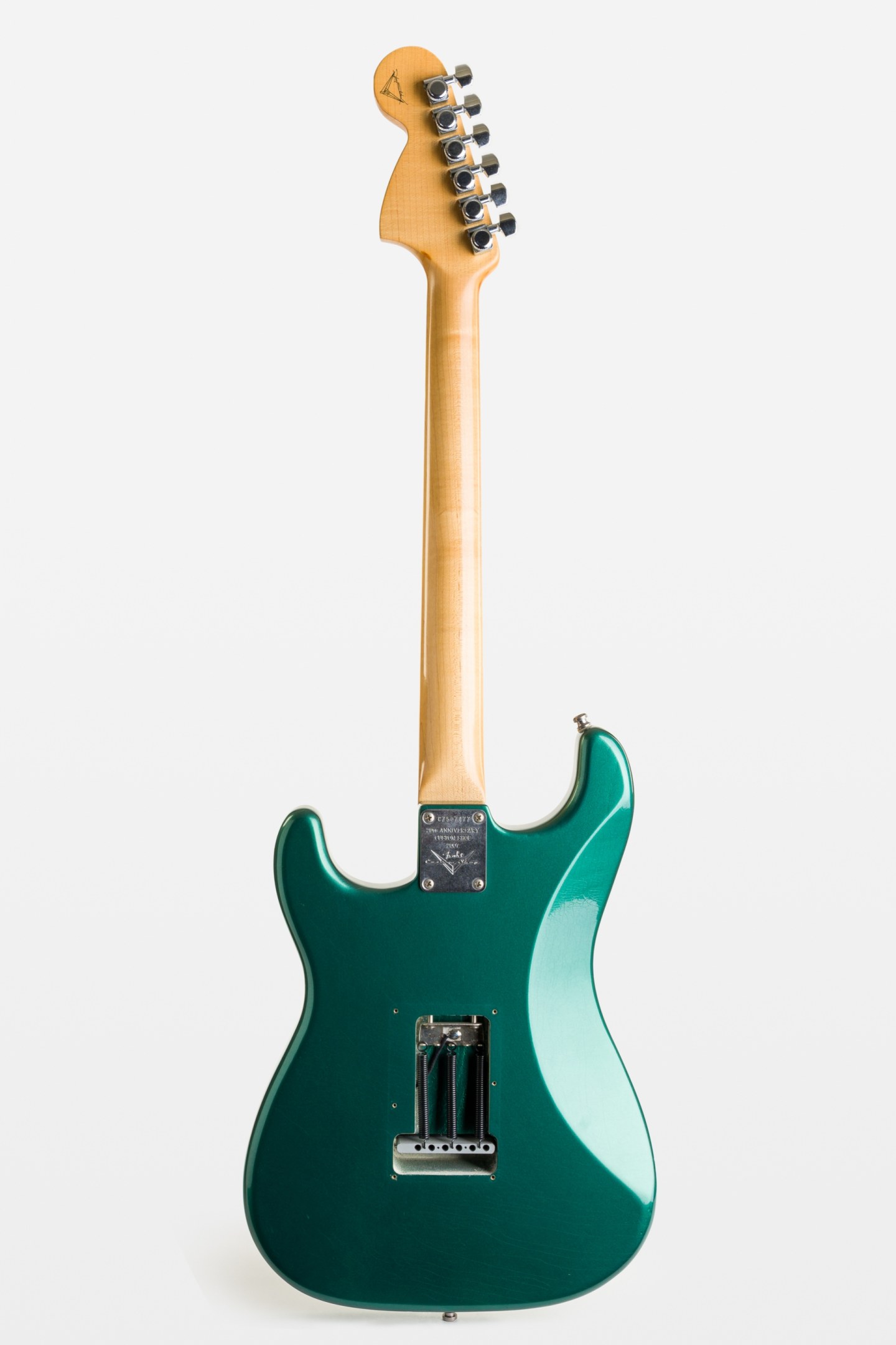 Fender Stratocaster Masterbuild Yuri Shishkov