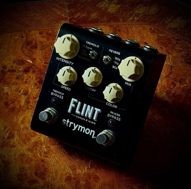 Strymon FLINT