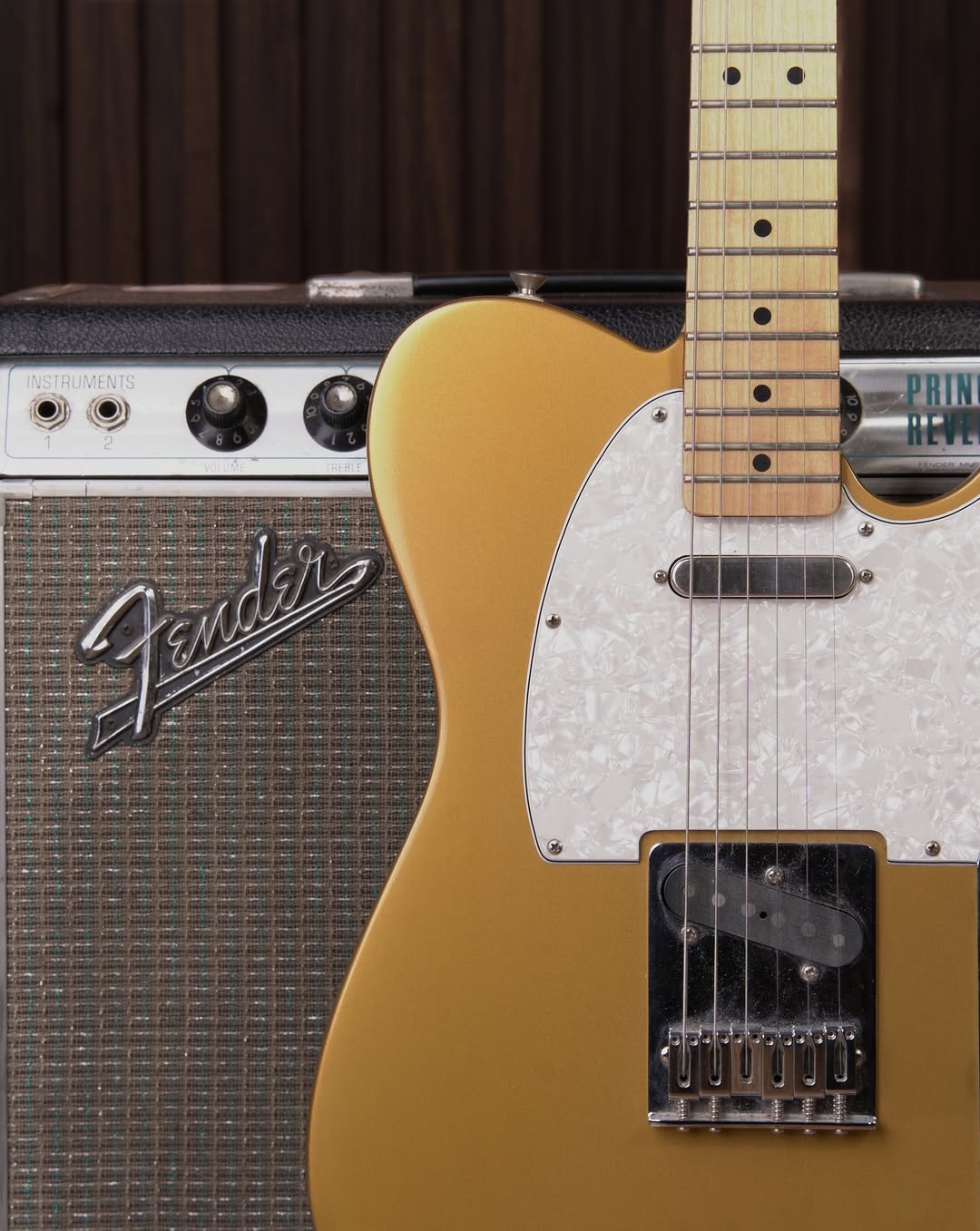 Fender Standard Telecaster