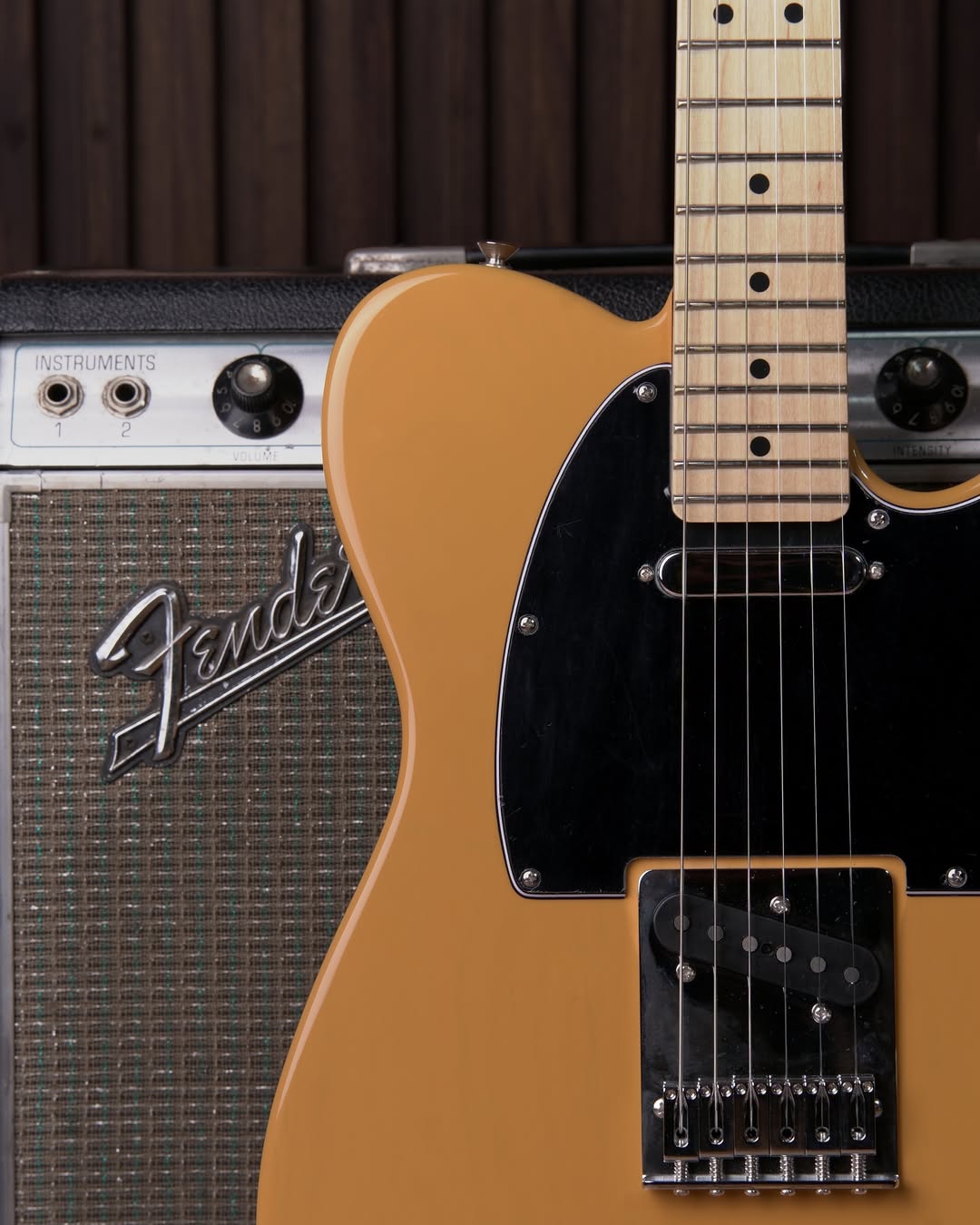 Fender Player Telecaster