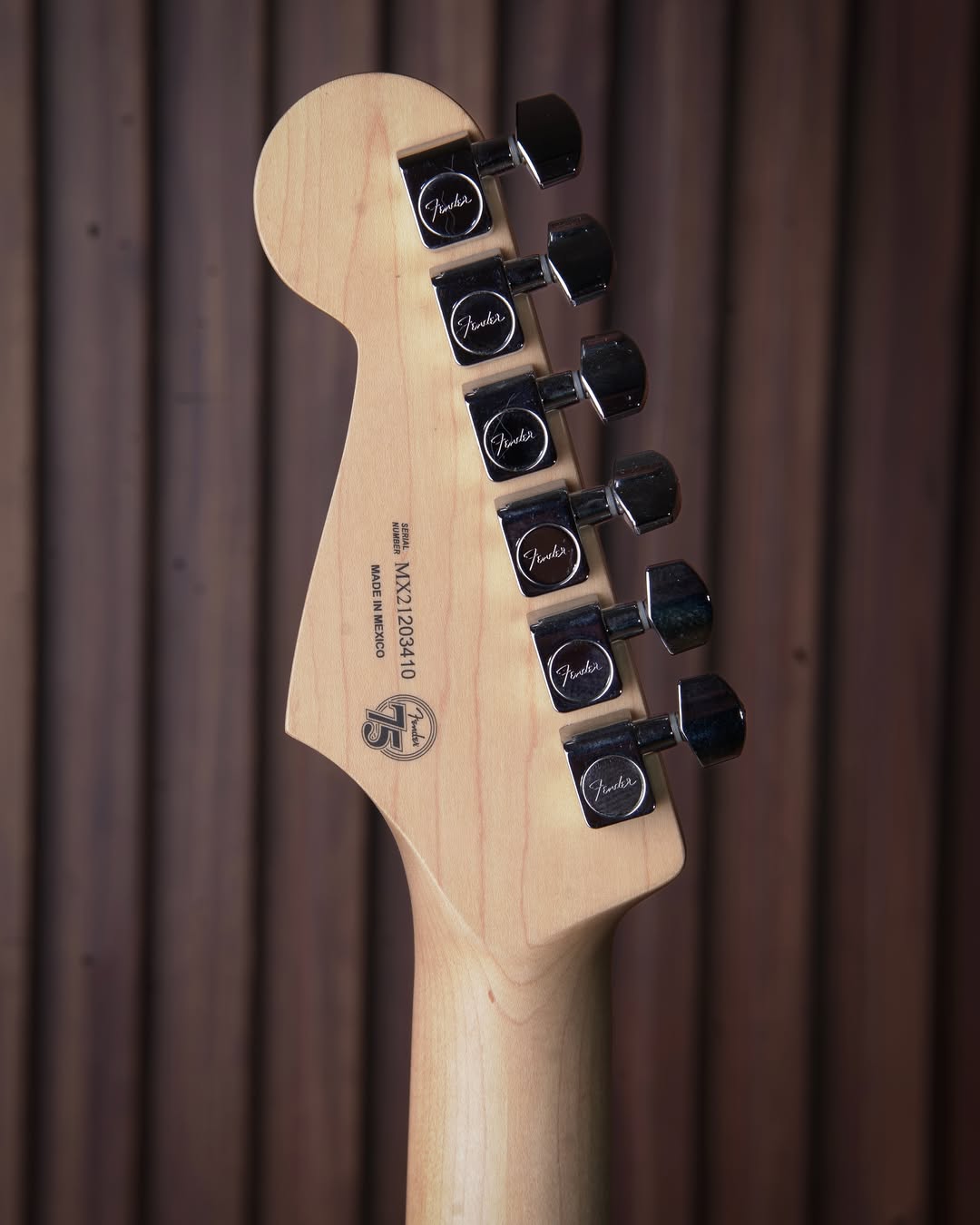Fender Limited Edition Player Stratocaster