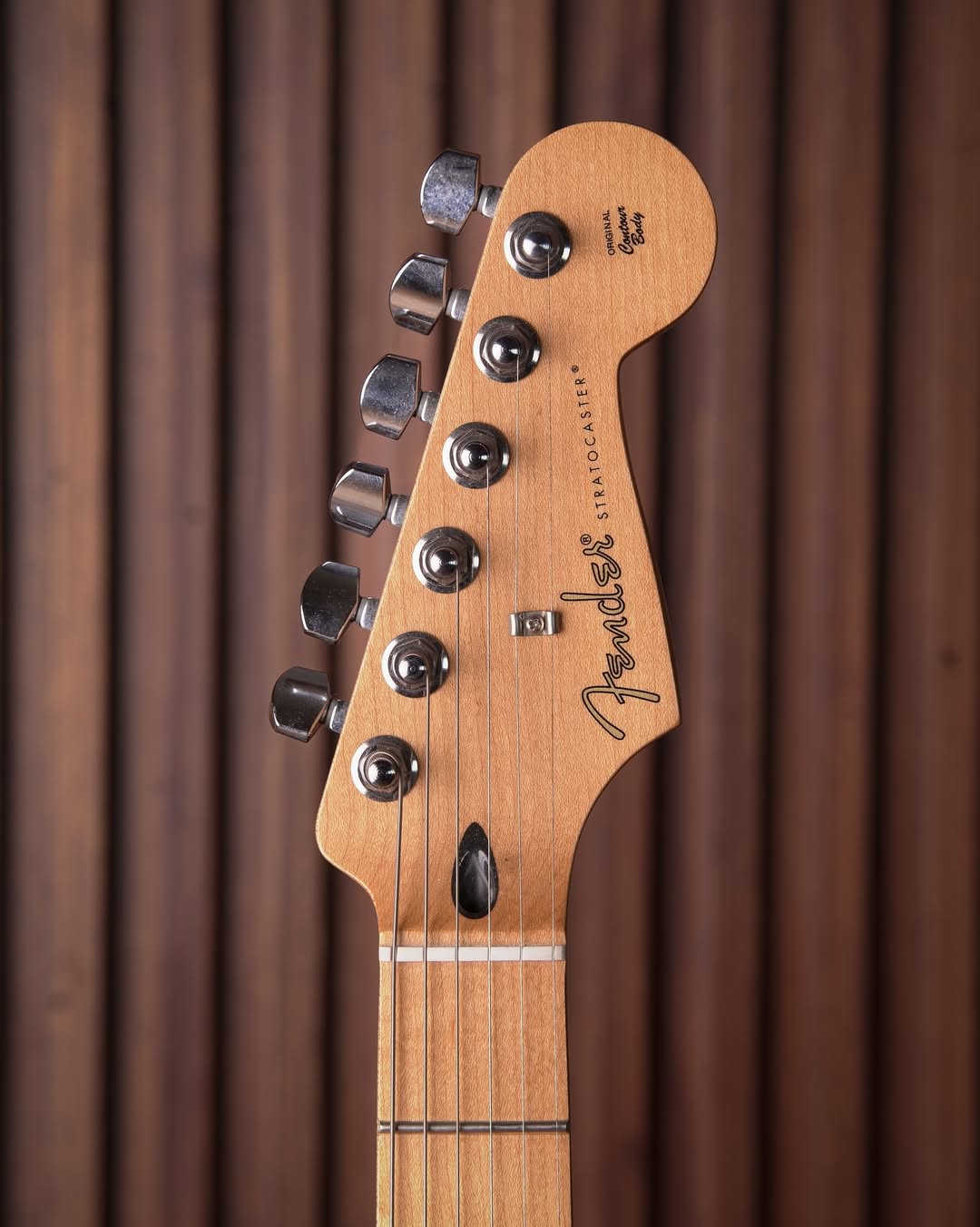 Fender Limited Edition Player Stratocaster