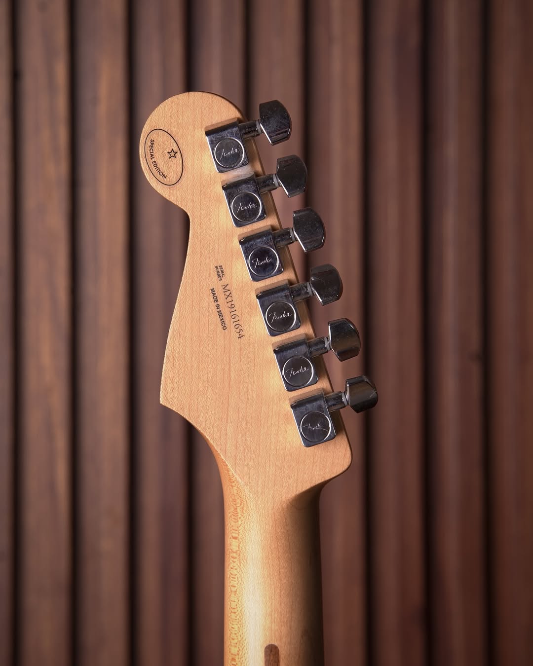 Fender Limited Edition Player Stratocaster