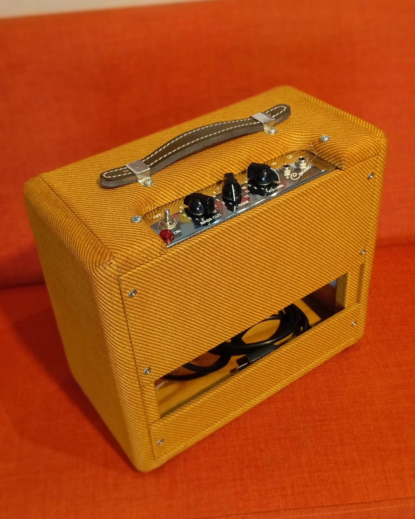 GT AMPS CANICHE