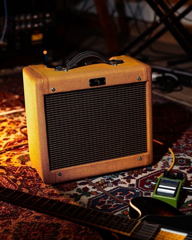 GT AMPS CANICHE