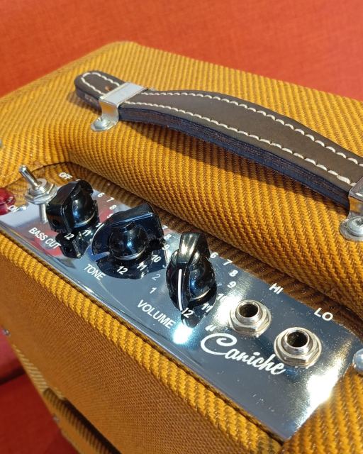 GT AMPS CANICHE