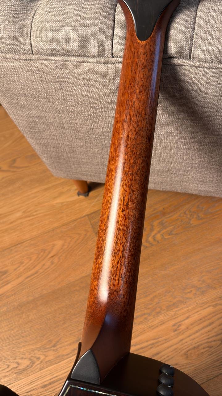 TAYLOR 912ce BUILDER’S EDITION