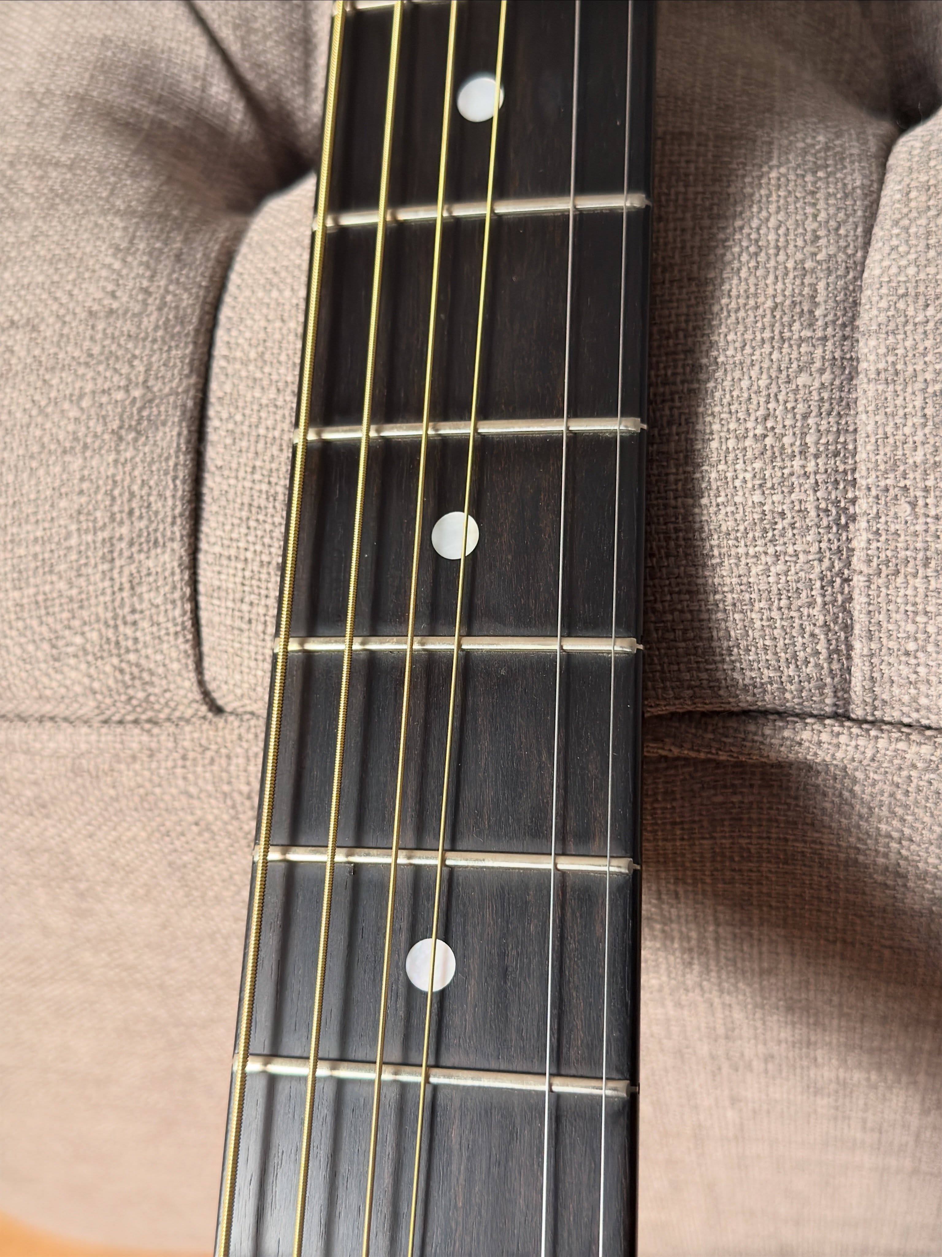 Taylor 414ce L10 Fall Limited Edition