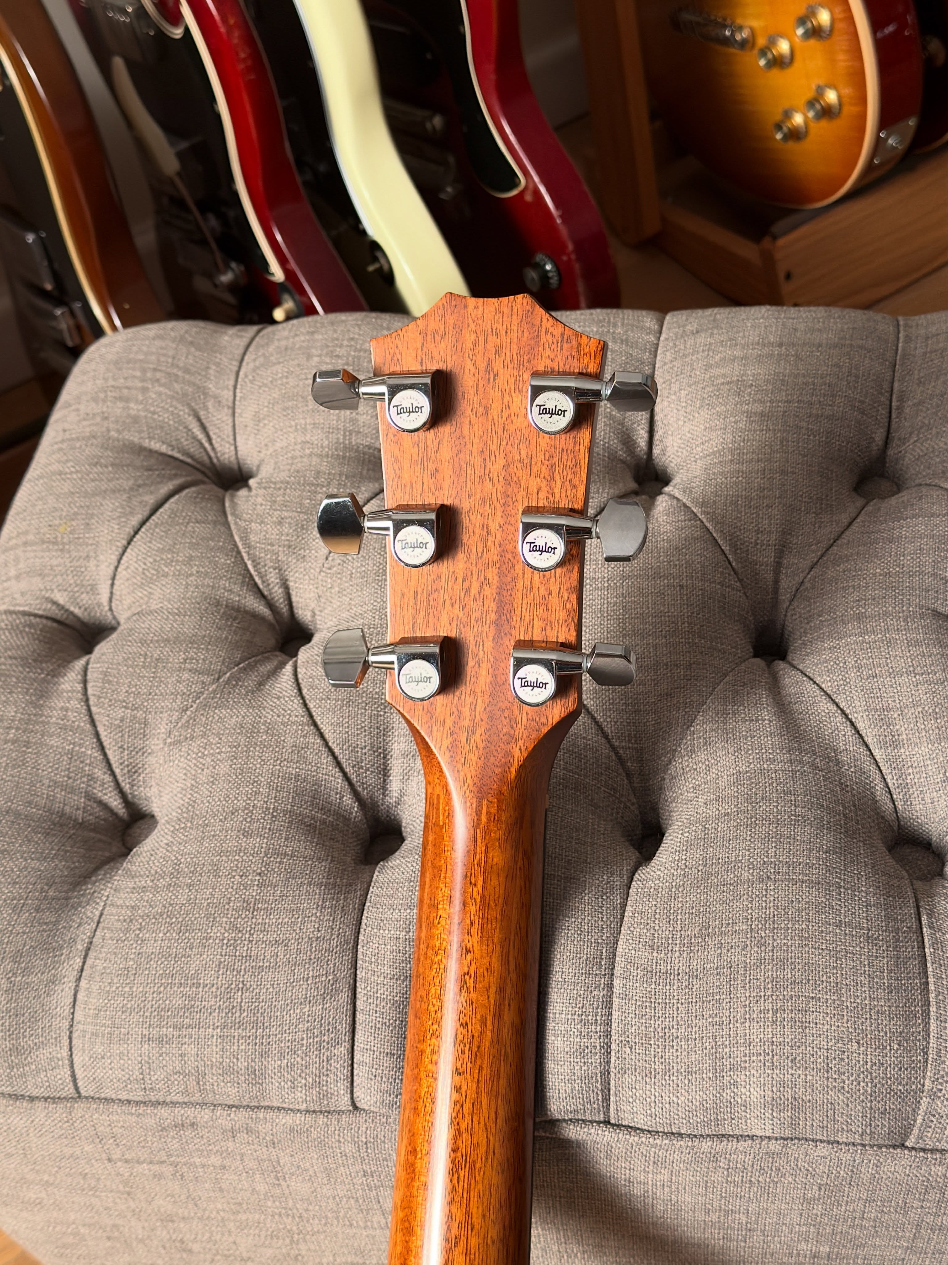 Taylor 414ce L10 Fall Limited Edition